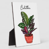 Handgetekende Calathea Fotoplaat (Zijkant)