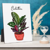 Handgetekende Calathea Fotoplaat (Zijkant)