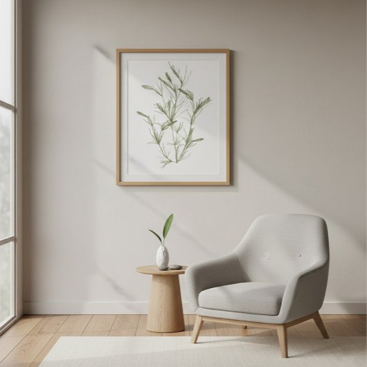 Handgetekende Chara fragilis Zeewier Canvas Print