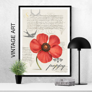 Handgetekende rode papaver 🌸 Swallow-Tail Kite Poster