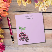  handgetekende Waterverf druiven Plum Paarse