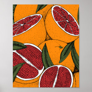 Handgetrokken druk met grapefruits poster