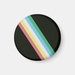 Handicap Pride Flag Magnet Magneet