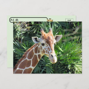 Handig Giraffe Briefkaart