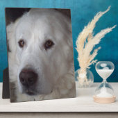 Handige Grote Pyreneeën Dog Fotoplaat (Zijkant)