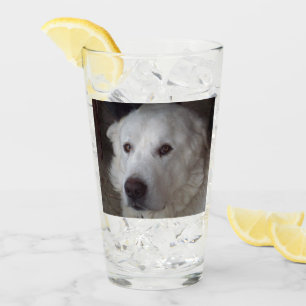 Handige Grote Pyreneeën Glas