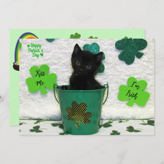 Handige Jack - Cat / Kitten St. Patrick's Day (Voorkant / Achterkant)