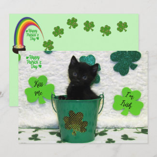 Handige Jack - Cat / Kitten St. Patrick's Day