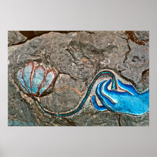 Handje met Lotus/Poster Poster (Voorkant)