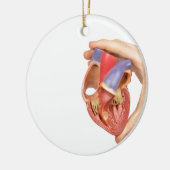 Handje met model open menselijk hart op wit.jpg keramisch ornament (Links)