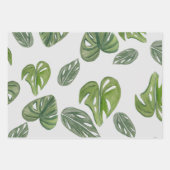 Handje Waterverf Monstera Adansonii Leaf Bridal Inpakpapier Vel (Voorkant 3)