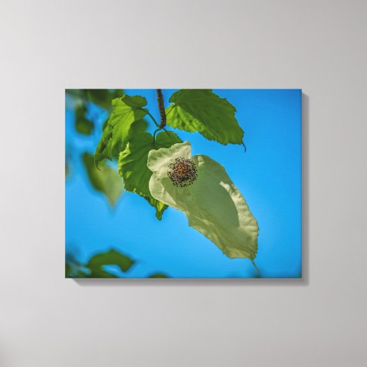 Handleiding Canvas Afdruk (Voorkant)