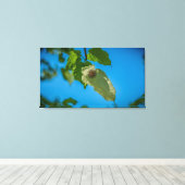 Handleiding Canvas Afdruk (Insitu (Houten vloer))