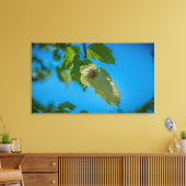 Handleiding Canvas Afdruk (Insitu (Woonkamer))