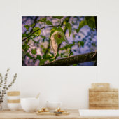 Handleiding Poster (Keuken)