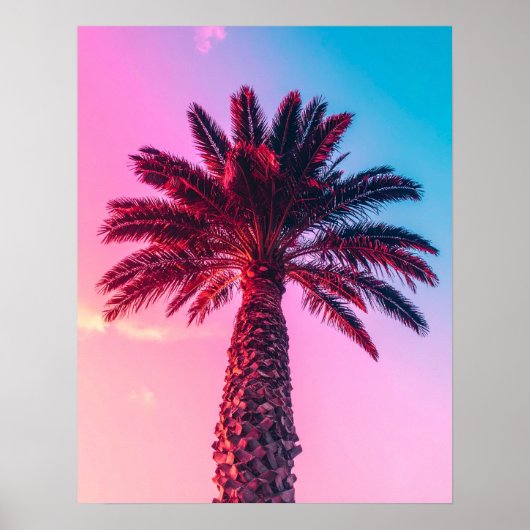 handpalmen poster (Voorkant)