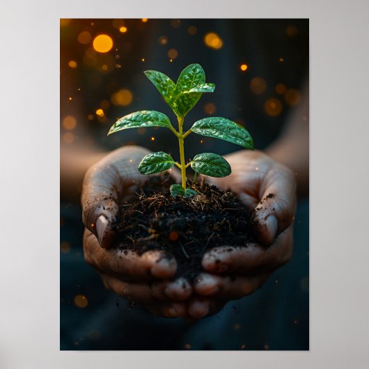 Hands Holding Seedling Growth Hope Art Poster (Voorkant)