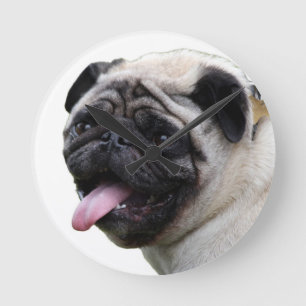 Handsom witte accessoires van de Pug foto's, voeg Ronde Klok
