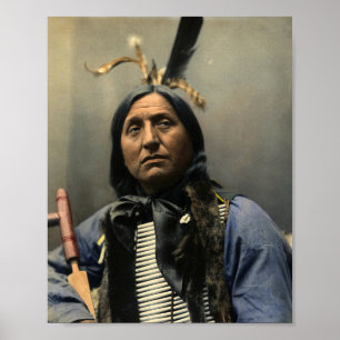 HANDSOME AMERIKAANSE INDIAANSE POSTER