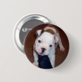 Handsome Bulldog Pinback Button (Voorkant /achterkant)