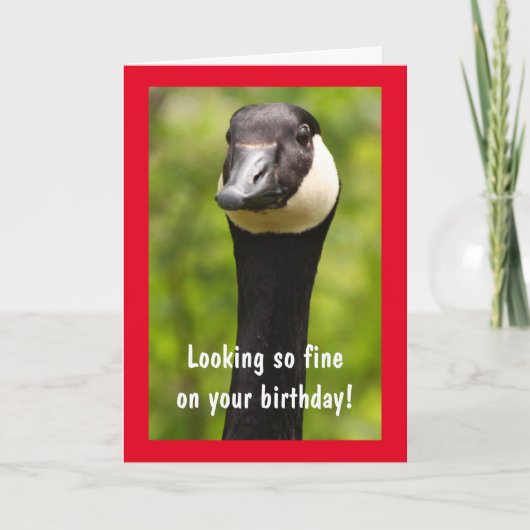 Handsome Canada Goose Funny Birthday Kaart (Voorkant)