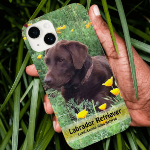 Handsome Chocolate Lab do in Poppy Patch Case-Mate iPhone 14 Hoesje