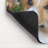 Handsome Corgi Muismat (Hoek)