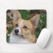 Handsome Corgi Muismat (Met muis)