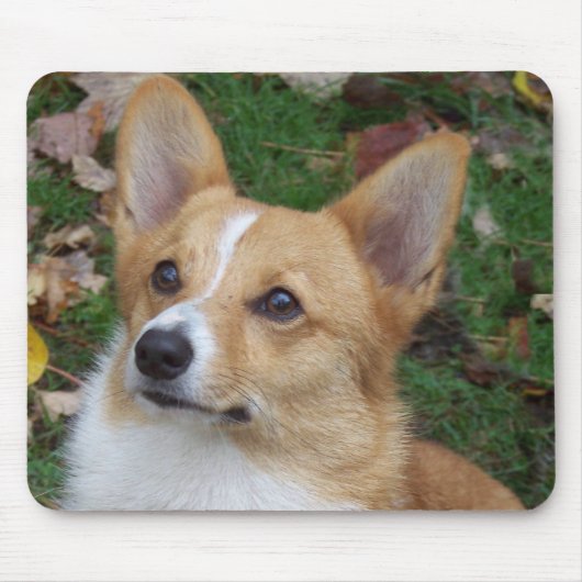Handsome Corgi Muismat (Voorkant)