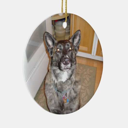 Handsome Dog Ornament (Rechts)