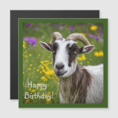 Handsome Goat (Voorkant / Achterkant)