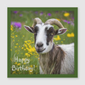 Handsome Goat (Voorkant)