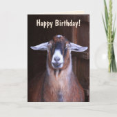 Handsome Goat Birthday Kaart (Voorkant)
