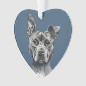 Handsome Grey Pit Bull Terrier Dog Tekening Ornament (voorkant)