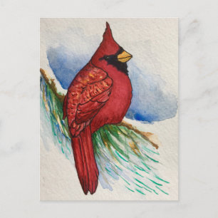 Handsome Northern Cardinale Red Bird Briefkaart