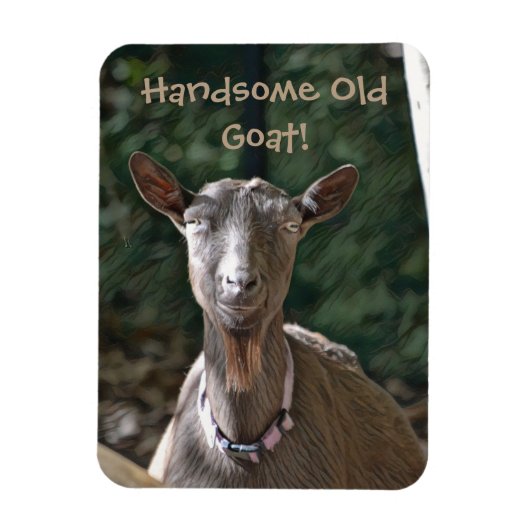 Handsome Old Goat Magneet (Verticaal)