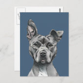 Handsome Pit Bull Terrier Dog Tekening Briefkaart (Voorkant / Achterkant)