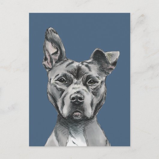 Handsome Pit Bull Terrier Dog Tekening Briefkaart (Voorkant)