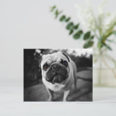 Handsome Pug Briefkaart (Staand voorkant)