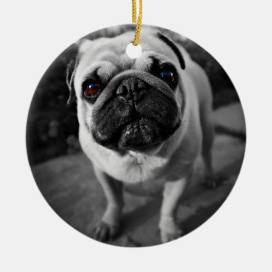 Handsome Pug Keramisch Ornament (Voorkant)