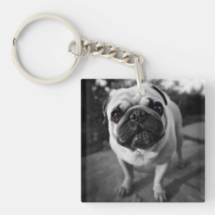 Handsome Pug Sleutelhanger