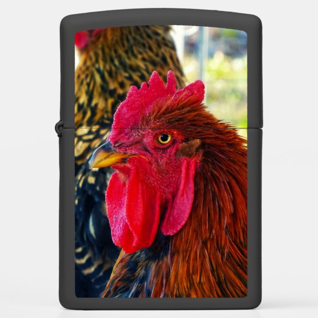Handsome Rooster (Voorkant)
