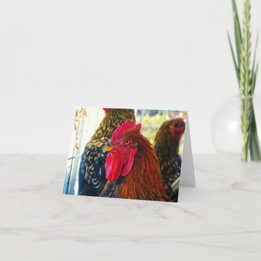 Handsome Rooster Kaart (Voorkant)