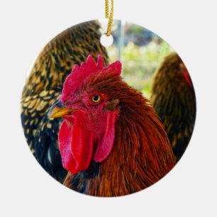 Handsome Rooster Keramisch Ornament