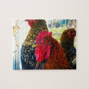 Handsome Rooster Legpuzzel