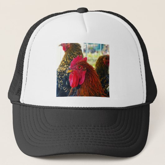 Handsome Rooster Trucker Pet (Voorkant)