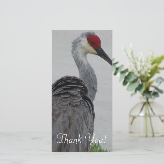 Handsome Sandhill Crane Bedankkaart (Staand voorkant)