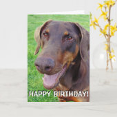 Handsome smiling red doberman kaart (Gele Bloem)