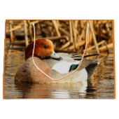 Handsome Stranger in Town Eurasian Wigeon Large Cadeauzakje (Voorkant)