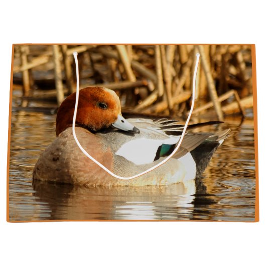 Handsome Stranger in Town Eurasian Wigeon Large Cadeauzakje (Voorkant)